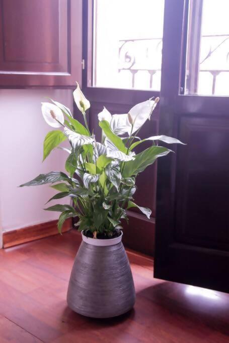 Hosfty Centro Mirador San Marcos 1 Apartment เซบีญา ภายนอก รูปภาพ